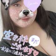 ヒメ日記 2025/11/23 21:55 投稿 ねいろ ちゃんこ大阪伊丹空港豊中店