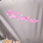 ねいろ 水曜日から出勤！ ちゃんこ大阪伊丹空港豊中店