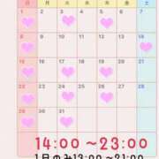 ヒメ日記 2026/02/17 12:40 投稿 春野 のの SUMIRE