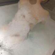 ヒメ日記 2025/04/27 23:43 投稿 みみ 花火-hanabi-(すすきの)