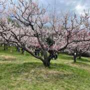 ヒメ日記 2025/05/06 22:33 投稿 みみ 花火-hanabi-(すすきの)