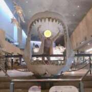 ヒメ日記 2025/11/24 18:07 投稿 コノミ On a best（オンナベスト）