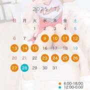 ヒメ日記 2025/06/30 18:38 投稿 かれん JAPAN CLUB BUNNY LOUNGE