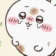 ヒメ日記 2025/09/05 17:20 投稿 かれん JAPAN CLUB BUNNY LOUNGE