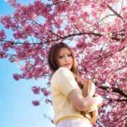 ヒメ日記 2026/03/24 21:27 投稿 かれん JAPAN CLUB BUNNY LOUNGE