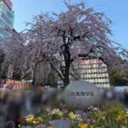 ヒメ日記 2026/03/28 21:30 投稿 かれん JAPAN CLUB BUNNY LOUNGE