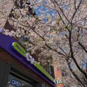 かれん 🪽無事帰国🪽 JAPAN CLUB BUNNY LOUNGE