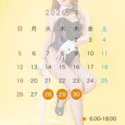 かれん 🪽４月🪽 JAPAN CLUB BUNNY LOUNGE