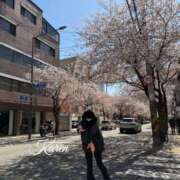 ヒメ日記 2026/05/04 18:16 投稿 かれん JAPAN CLUB BUNNY LOUNGE