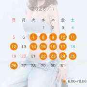 ヒメ日記 2026/06/24 15:15 投稿 かれん JAPAN CLUB BUNNY LOUNGE