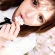 ヒメ日記 2026/06/25 05:15 投稿 かれん JAPAN CLUB BUNNY LOUNGE