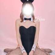 ヒメ日記 2026/07/11 12:15 投稿 かれん JAPAN CLUB BUNNY LOUNGE