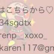ヒメ日記 2026/07/27 14:45 投稿 かれん JAPAN CLUB BUNNY LOUNGE