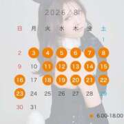 ヒメ日記 2026/08/08 11:27 投稿 かれん JAPAN CLUB BUNNY LOUNGE
