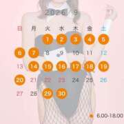 ヒメ日記 2026/08/20 21:01 投稿 かれん JAPAN CLUB BUNNY LOUNGE