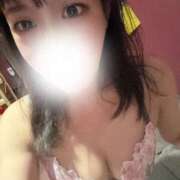 ヒメ日記 2025/04/04 17:40 投稿 まい Beppin house