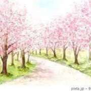 ヒメ日記 2025/04/05 08:33 投稿 りな Beppin house