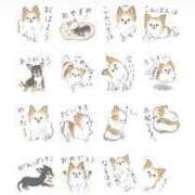 ヒメ日記 2025/04/13 16:30 投稿 りな Beppin house