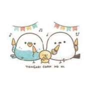 ヒメ日記 2025/05/29 10:27 投稿 りな Beppin house