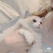 ヒメ日記 2025/06/20 20:00 投稿 りな Beppin house