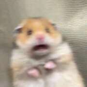 ヒメ日記 2025/06/21 12:22 投稿 りな Beppin house