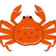 ヒメ日記 2025/06/22 11:20 投稿 りな Beppin house