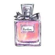 ヒメ日記 2025/07/29 17:20 投稿 りな Beppin house