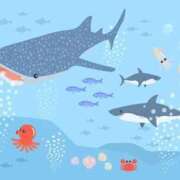 ヒメ日記 2025/09/27 07:58 投稿 りな Beppin house