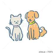 ヒメ日記 2025/11/14 23:20 投稿 りな Beppin house