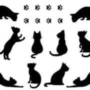 ヒメ日記 2026/01/28 19:50 投稿 りな Beppin house