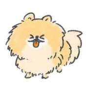 ヒメ日記 2026/01/28 20:30 投稿 りな Beppin house