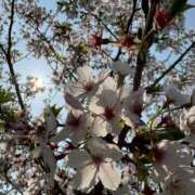 いまる お久しぶりです！！ タレント倶楽部