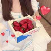 ヒメ日記 2025/04/03 05:21 投稿 のあ 千葉メイドリーム（ユメオト）