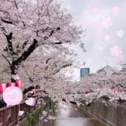 ヒメ日記 2025/04/17 14:27 投稿 のあ 千葉メイドリーム（ユメオト）