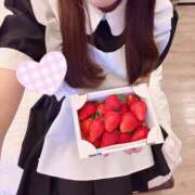 ヒメ日記 2025/05/12 11:21 投稿 のあ 千葉メイドリーム（ユメオト）