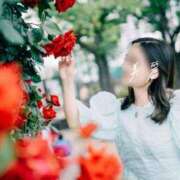 ヒメ日記 2025/05/19 01:27 投稿 美麗【みらい】 輝女