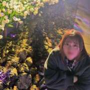 ヒメ日記 2025/04/30 21:58 投稿 みあ 池袋マリン別館