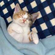 ヒメ日記 2025/05/19 07:50 投稿 みあ 池袋マリン別館