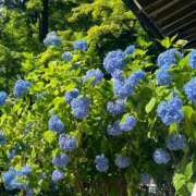 ヒメ日記 2025/06/03 10:03 投稿 みあ 池袋マリン別館