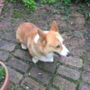 ヒメ日記 2025/06/13 19:20 投稿 みあ 池袋マリン別館