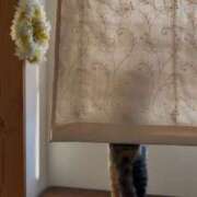 ヒメ日記 2025/08/16 18:55 投稿 みあ 池袋マリン別館