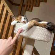 ヒメ日記 2025/10/24 13:45 投稿 みあ 池袋マリン別館