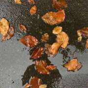 ヒメ日記 2025/10/25 13:37 投稿 みあ 池袋マリン別館