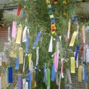 ヒメ日記 2025/07/07 15:30 投稿 あいか 横浜 風俗 妻がオンナに変わるとき