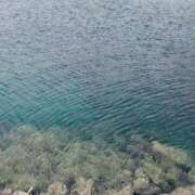 ヒメ日記 2025/07/15 16:00 投稿 あいか 横浜 風俗 妻がオンナに変わるとき