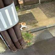 ヒメ日記 2026/02/18 04:23 投稿 サク バニーコレクション秋田店