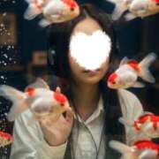 サク 【お礼写メ日記】 バニーコレクション秋田店