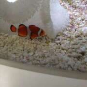 ヒメ日記 2025/05/25 17:01 投稿 みお 日本橋熟女咲裸（さくら）