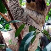 ヒメ日記 2025/06/05 17:37 投稿 みお 日本橋熟女咲裸（さくら）