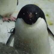 ヒメ日記 2025/07/11 16:52 投稿 みお 日本橋熟女咲裸（さくら）